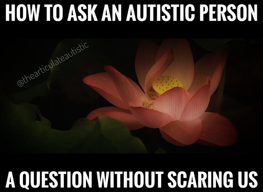 A close-up photo of a pink flower surrounded in black with text that reads: "How to ask an autistic person a question without scaring us."