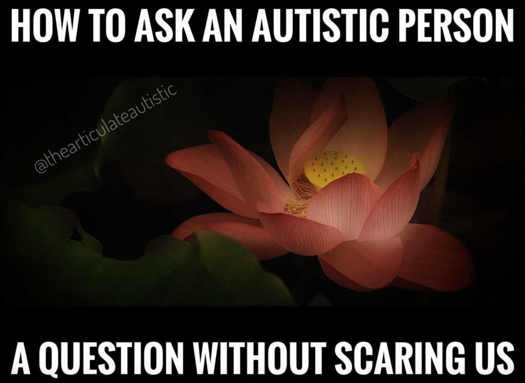 How To Ask An Autistic Person A Question Without Scaring Us Jaime A Heidel The Articulate