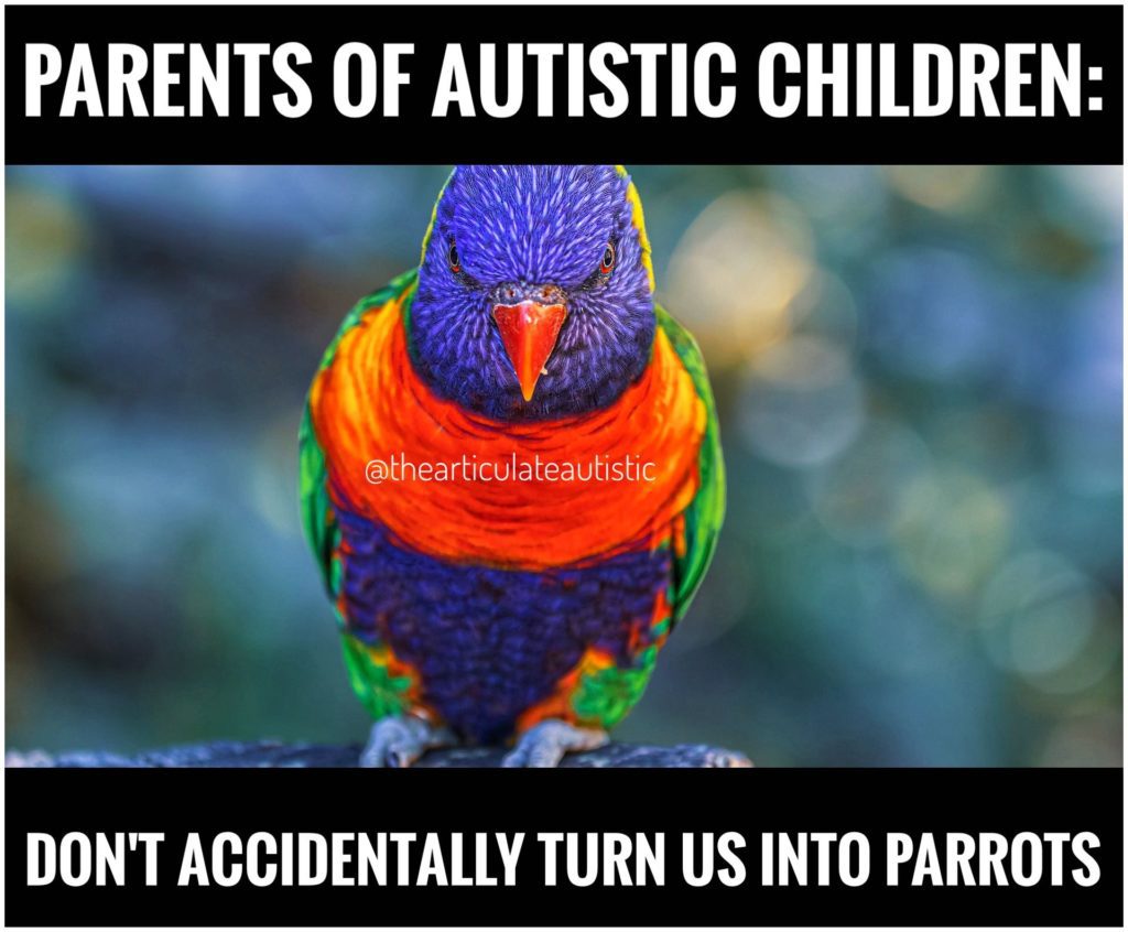 Colorful and irritated-looking bird glaring at the camera like it owes him money with text that reads, "Parents of autistic children: Don't accidentally turn us into parrots".