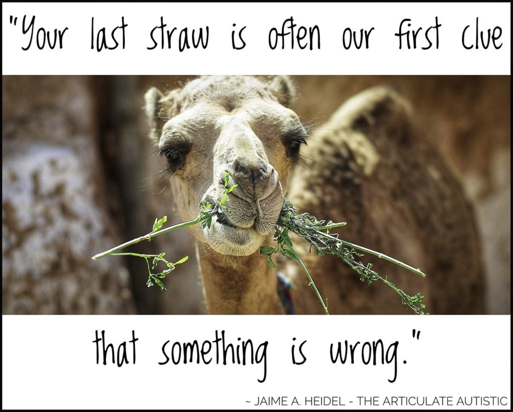 Camel chewing some grass with text that reads, "Your last straw is often our first clue that something is wrong".