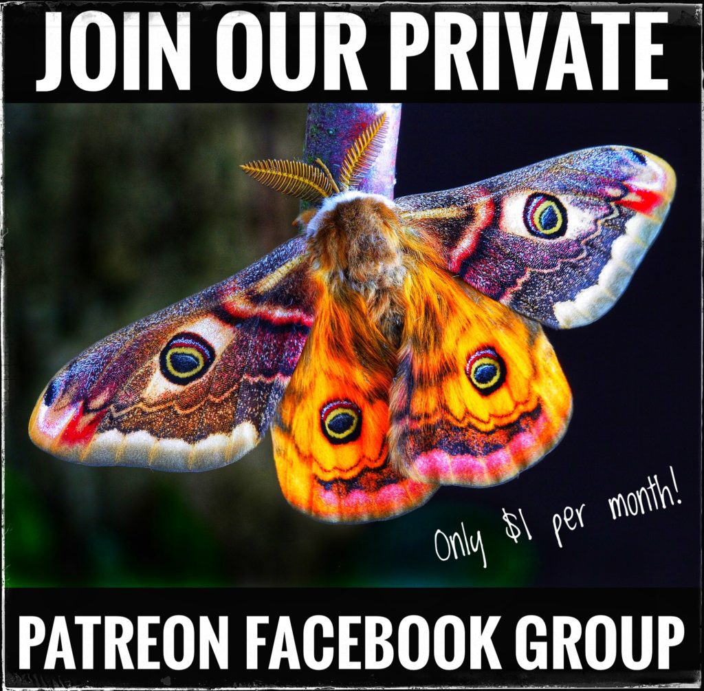 This image has an empty alt attribute; its file name is patreon_facebook_group-1024x1004.jpeg