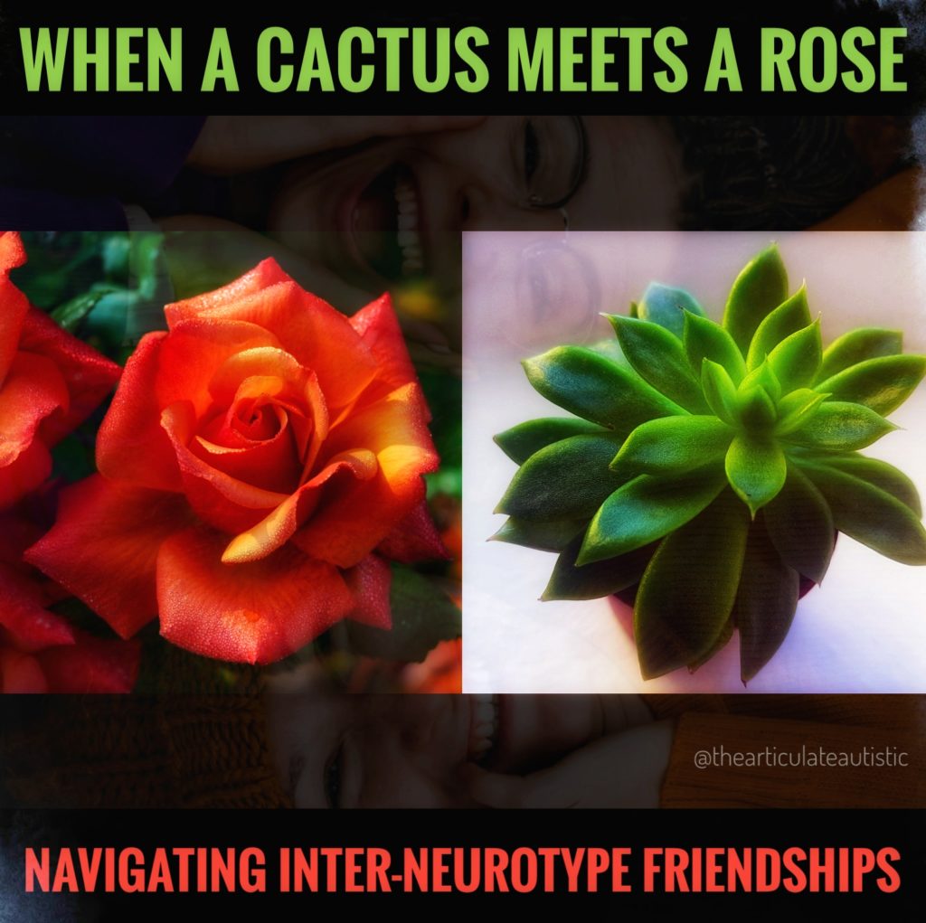 An image of a red rose and a green cactus side by side with a photo of two women smiling superimposed onto the image, in the background. Text reads, "When a Cactus Meets a Rose - Navigating Inter-Neurotype Friendships". 