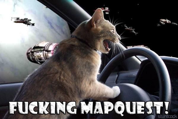 Meme featuring a cat driving in outer space. Text reads, "Fucking MapQuest!"